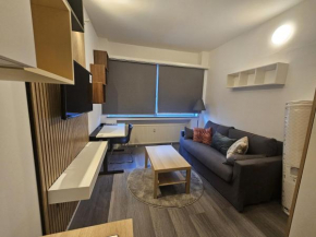 Cozy Pierre & Marie Curie studio